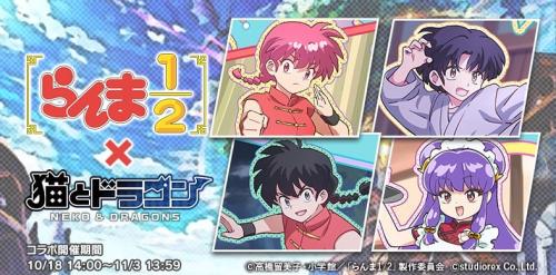 『猫とドラゴン』×TVアニメ「らんま1/2」コラボ告知ビジュアル