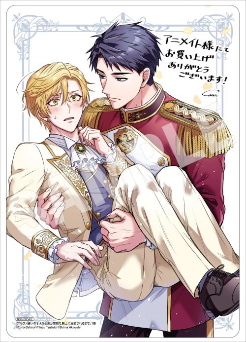 アルファ嫌いのオメガ令息が寡黙な騎士に溺愛されるまで 1 アニメイト特典・描き下ろしB6サイズビジュアルボード