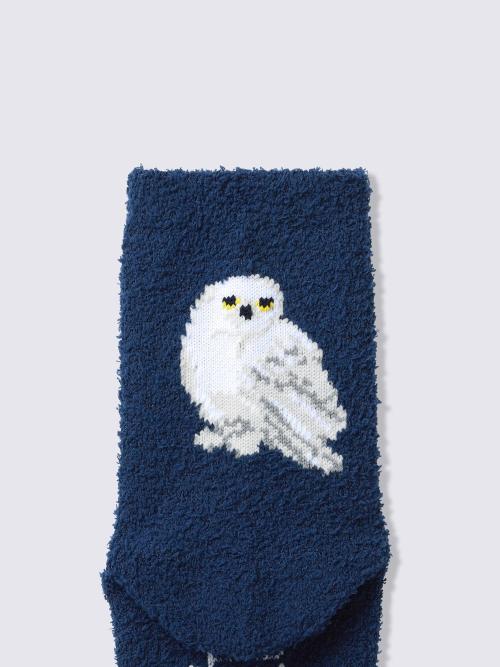 ルームソックス2P Harry Potter A