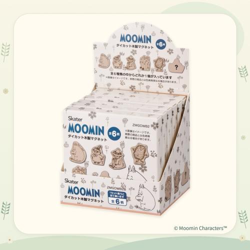 開封したBOXと単品パッケージ