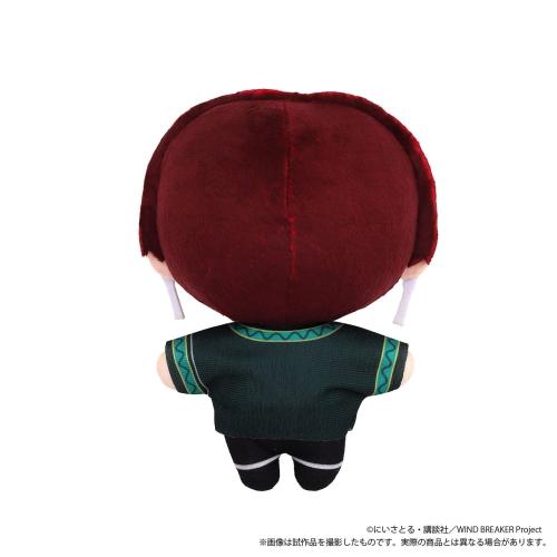 WIND BREAKER たきゃらくじ B賞 ぬいパルBIG 蘇枋隼飛 背面
