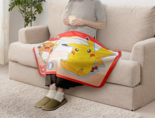 ブランケットの使用イメージ