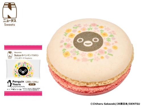 Suicaのペンギンマカロン フランボワーズ