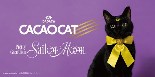 CACAOCATと美少女戦士セーラームーンの販売特設ビジュアル