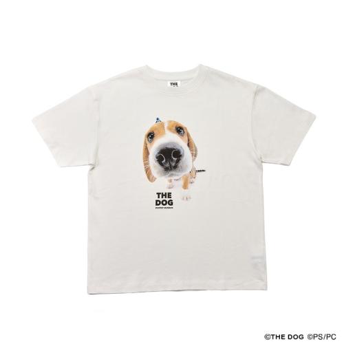 パペットスンスン THE DOG Tシャツ(ビーグル)の全体