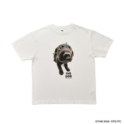 パペットスンスン THE DOG Tシャツ(ラブラドール・レトリーバー)の全体