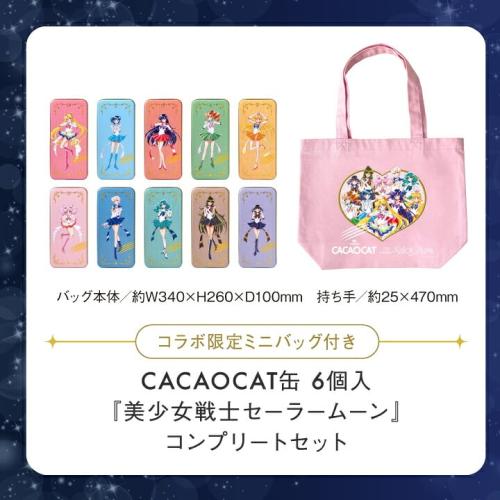 CACAOCAT缶6個入コンプリートセットとミニバッグの販売特設掲載画像