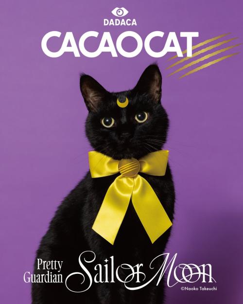 CACAOCATと美少女戦士セーラームーンのコラボビジュアル