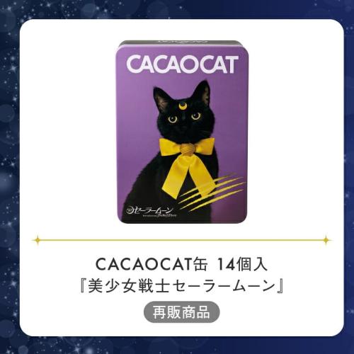 木野聡子さんの黒猫ビジュアルを使ったCACAOCAT缶14個入の販売特設掲載画像