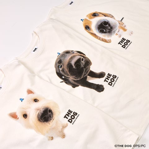 パペットスンスン THE DOG Tシャツ全3柄の集合写真