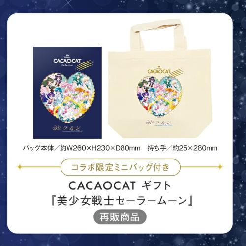 ミニバッグ付きCACAOCATギフトの販売特設掲載画像