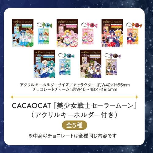 アクリルキーホルダー付きCACAOCATチョコレートBOXの販売特設掲載画像