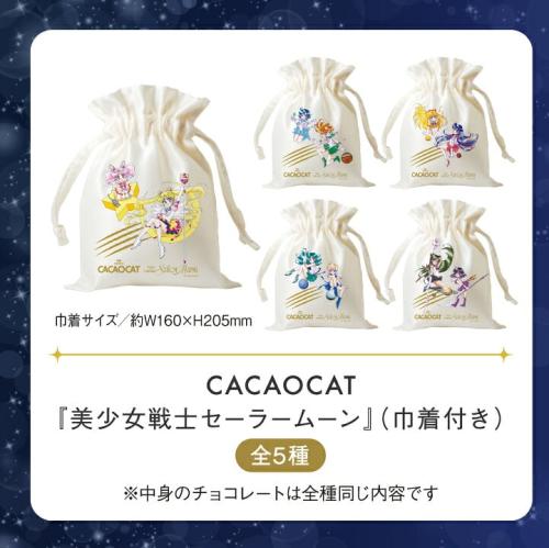 サテンの巾着付きCACAOCATの販売特設掲載画像