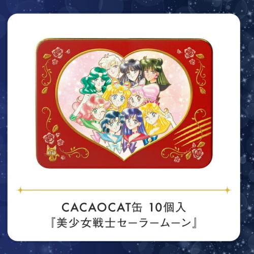 セーラー10戦士をデザインしたCACAOCAT缶10個入の販売特設掲載画像