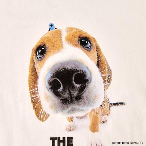 ビーグルとスンスンのTシャツのプリント部分