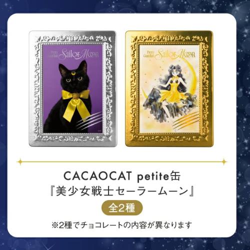 黒猫と人間姿のルナをデザインしたCACAOCAT petite缶の販売特設掲載画像