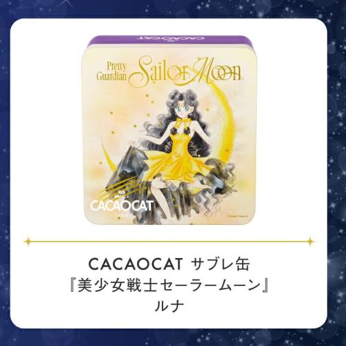 人間姿のルナとサブレのCACAOCATサブレ缶の販売特設掲載画像
