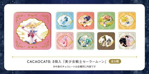表紙イラストをデザインしたCACAOCAT缶5個入の販売特設掲載画像