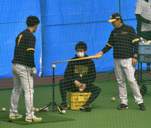 阪神 森下翔太へ和田２軍監督が愛のムチ ハーフ打撃92球
