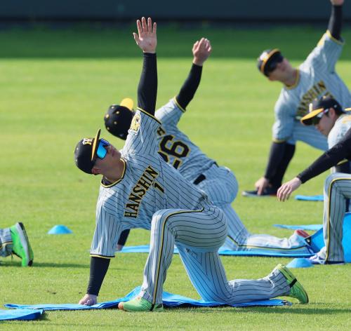 阪神 森下翔太２軍本隊合流 ダッシュやストレッチ 右足肉離れで別メニュー調整