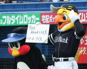 【ヤクルト】SBハリーホーク、つば九郎に隠れメッセージ　頭文字を合わせると…「えみフル」
