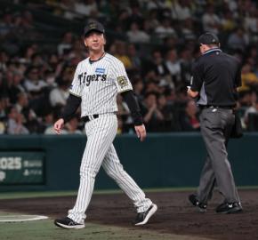 【阪神】打球直撃から練習再開の石井に藤川監督「急ごうとしてるかもしれないけど、頭なので」