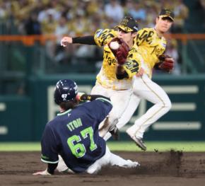 【阪神】中野拓夢ナイスボディー　雨天時の土入れでイレギュラーも体で止めた　何度も腹さする