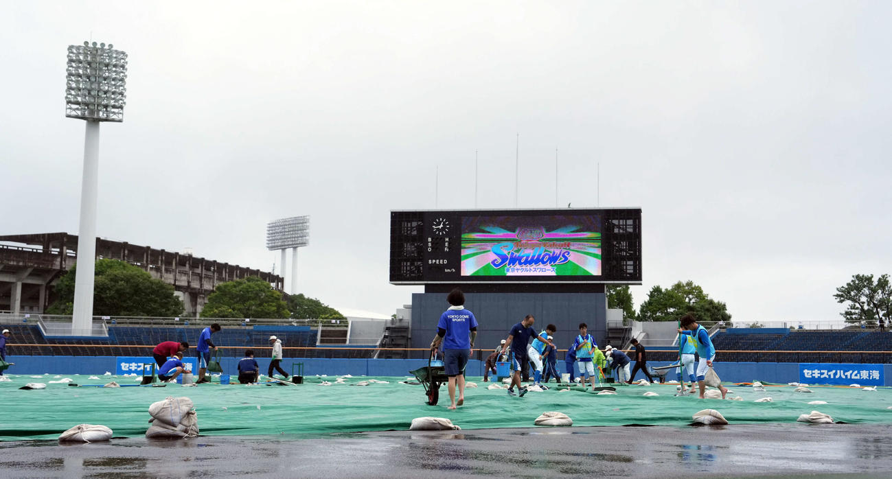 ヤクルト－巨人は降雨中止、中村優斗と西舘勇陽が先発予定が流れる
