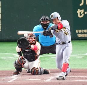 【阪神】夏は中川勇斗だ 久しぶりスタメンでプロ2安打目 京都国際でベスト4躍進の主軸