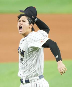 激レア　大谷翔平　WBC 初出場　初勝利　開幕戦　チケット 激レア 大谷翔平 WBC 初出場 初勝利 開幕戦 チケット - メルカリ