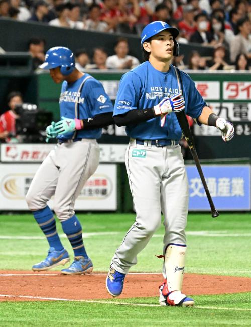 日ハム　野村佑希　実使用バット 日ハム 野村佑希 実使用バット|mercariメルカリ官方指定廠商