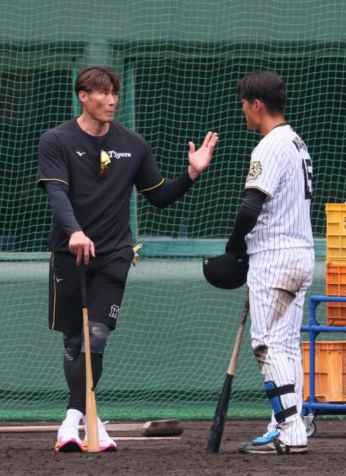 阪神】糸井嘉男SA「もっとやってたな、俺」野手転向の後輩西純