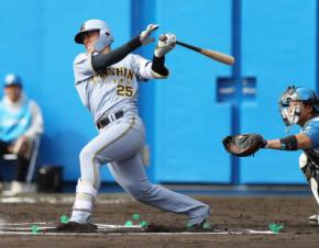 【虎になれ】使える気にさせたのはルーキー谷端将伍か