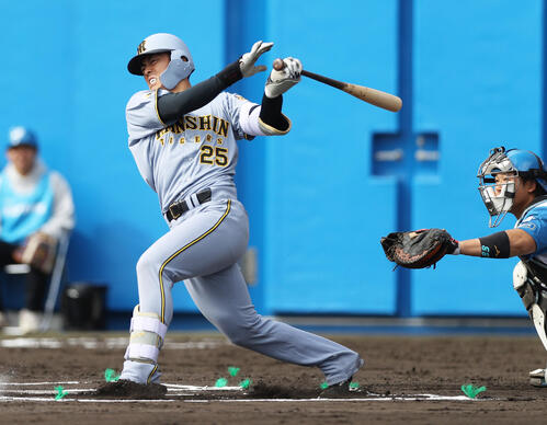 【虎になれ】使える気にさせたのはルーキー谷端将伍か