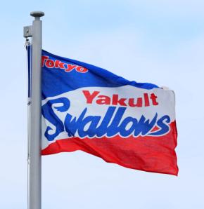 【ヤクルト】2軍キャンプ、寒波の影響で室内練習場で開催