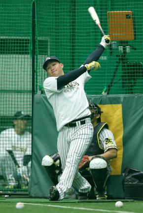 今岡真訪】開幕前の予想通り、主力メンバー固定されている阪神が順調
