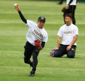 【阪神】石井大智リリーフ待機　３戦連発中の佐藤輝明は４番　優勝マジック減らせるか／スタメン