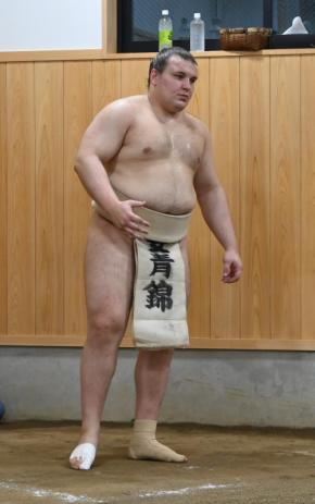 名古屋場所Ｖの安青錦“ぶっつけ本番”で秋場所へ　関取衆と相撲取らず…部屋の若い衆と稽古