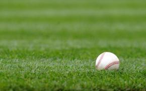 月曜日だけど異例の３試合…５連敗中阪神はM16も首位陥落の可能性　巨人はDeNAと対戦