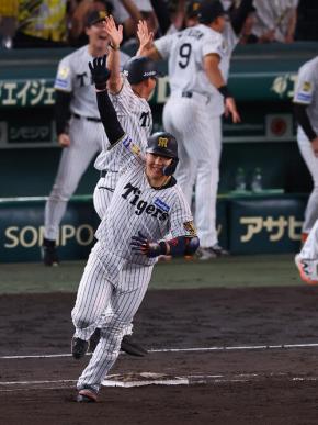 【虎になれ】また甲子園胴上げできるかも　大きい連勝だ