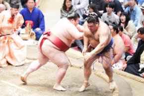 大関目指す熱海富士、高安の意表を突く作戦にも動じず２敗キープ