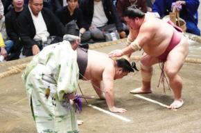 霧島４敗目、綱とりは一から出直し「横綱を目指す人の負け方ではない」と舞の海氏