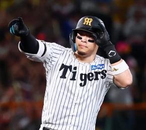 【阪神】甲子園3連戦で極上のフィナーレを 自力での本拠地Vへ佐藤輝明「目の前の戦いに集中」
