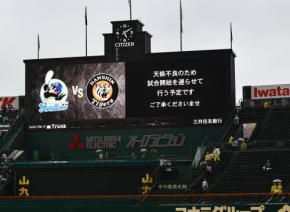 【阪神】29日中止のヤクルト戦、振り替え試合はどこに入るのか　候補日となるのは…