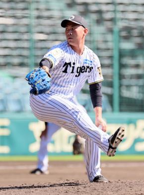 【阪神】桐敷拓馬がシート打撃登板「少しでも戦力になれるように」短期決戦に向けてスタンバイ