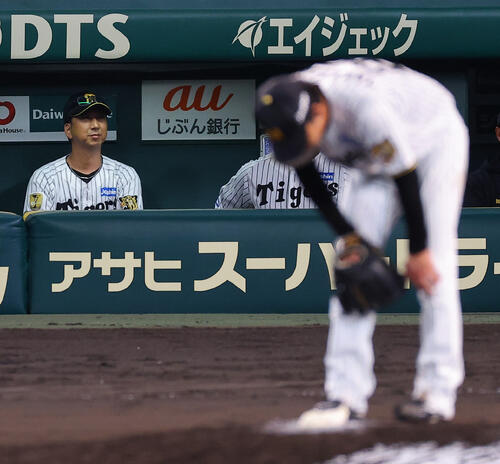 【虎になれ】ハルトをもう一度登板させろ　意地を見たいぞ阪神