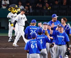 【阪神】３連敗崖っぷち…藤川監督「うまくかみ合わせなければ」主砲欠くもCS突破へ底力見せる
