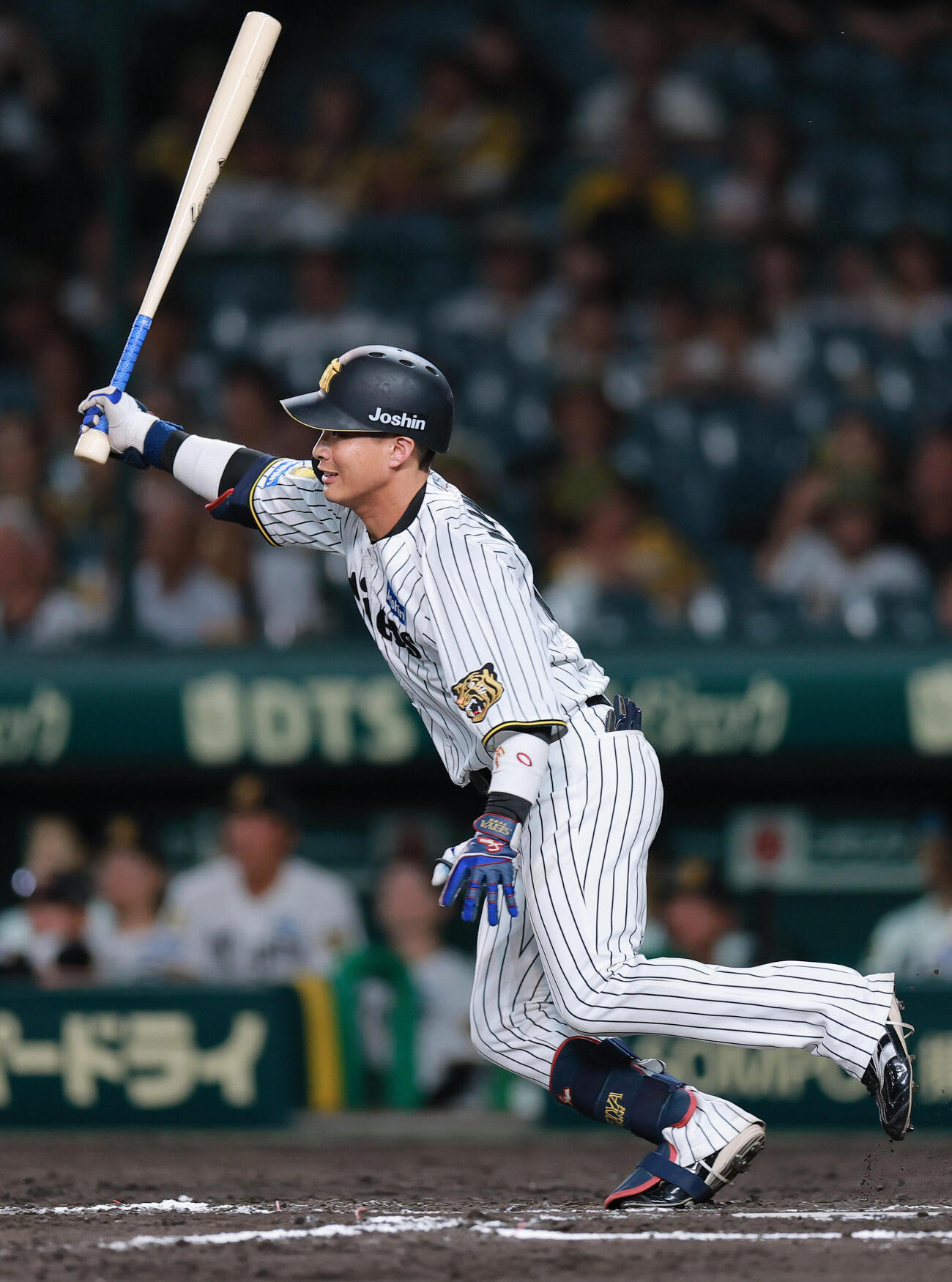 【阪神】木浪聖也らFA4人が去就熟考へ 熊谷敬宥「分析して」伏見寅威「話せることない」