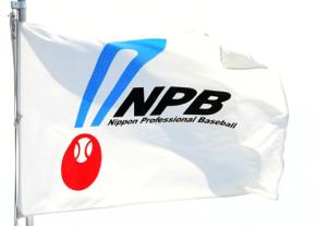 球界にもPHP問題　12球団HPが続々メンテナンス　パ６球団は一時すべてが見られぬ状態に