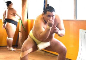 豊昇龍「出るつもりでやっています」九州場所へ15番13勝　出場判断は「ぎりぎりまで」